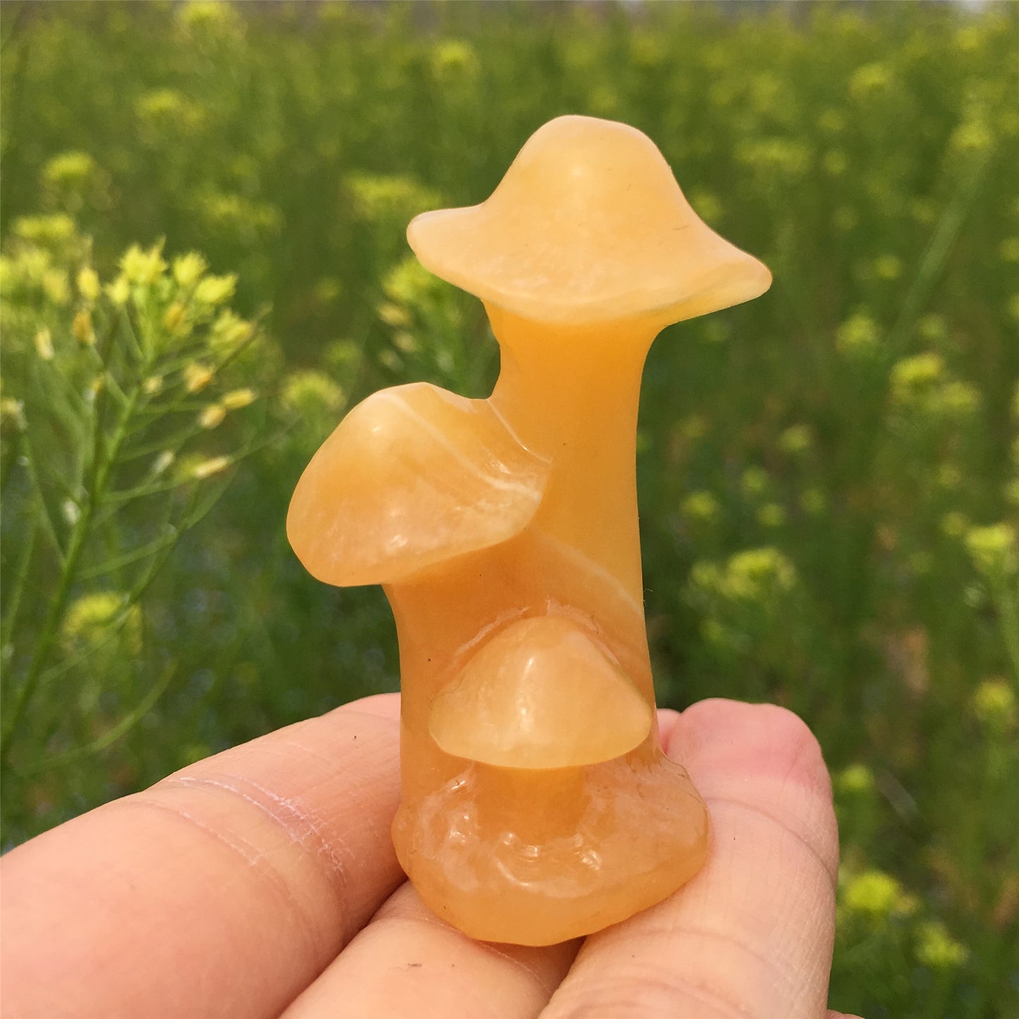 Natural crystal carving 2-inch mushrooms tree,50*20*20mm