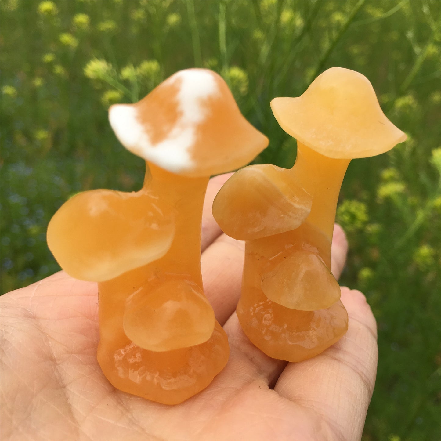 Natural crystal carving 2-inch mushrooms tree,50*20*20mm