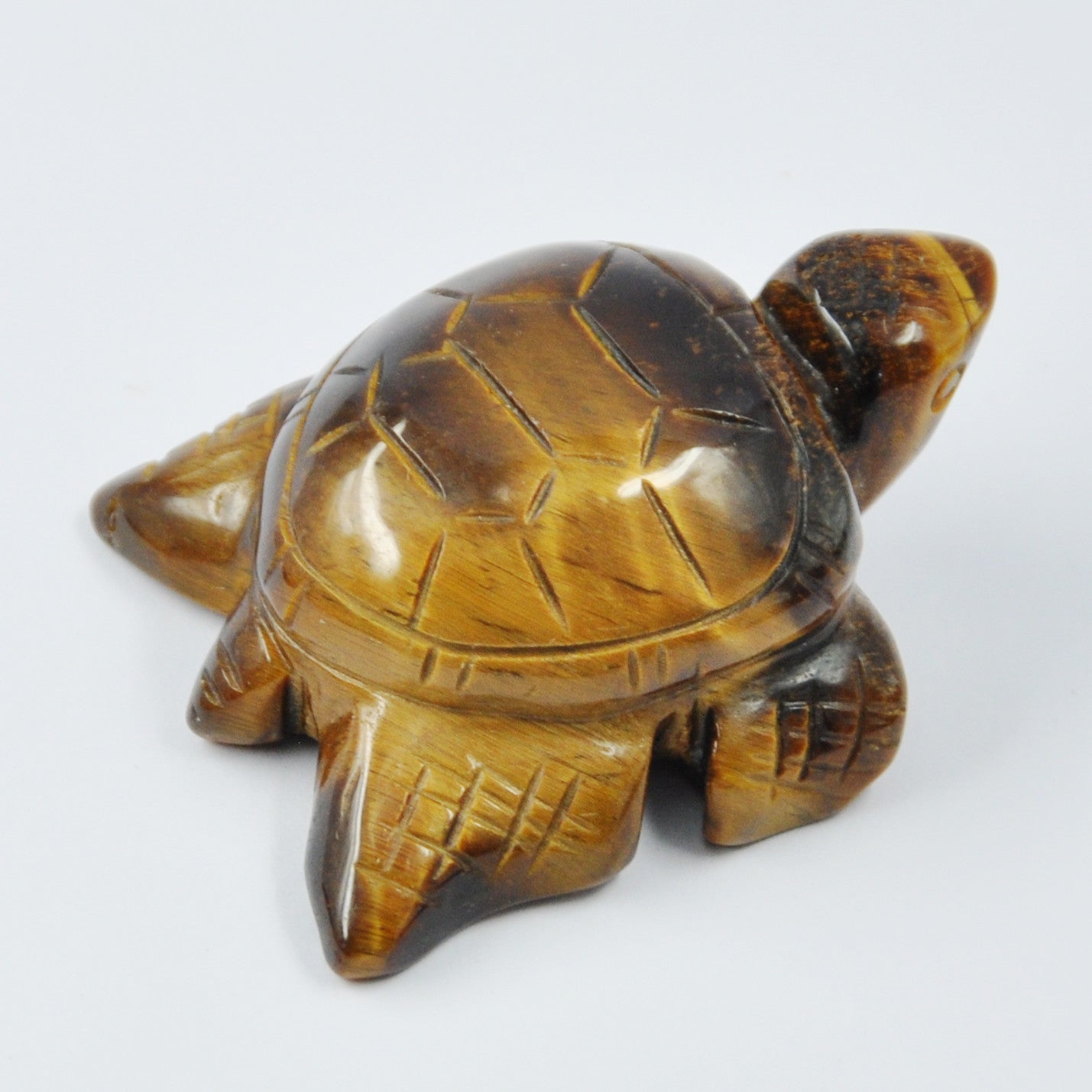 Natural Crystal Turtle 50mm Set