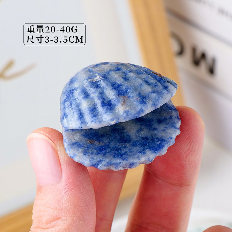 Seashell Crystal Random 1Set=8pcs,30-35mm