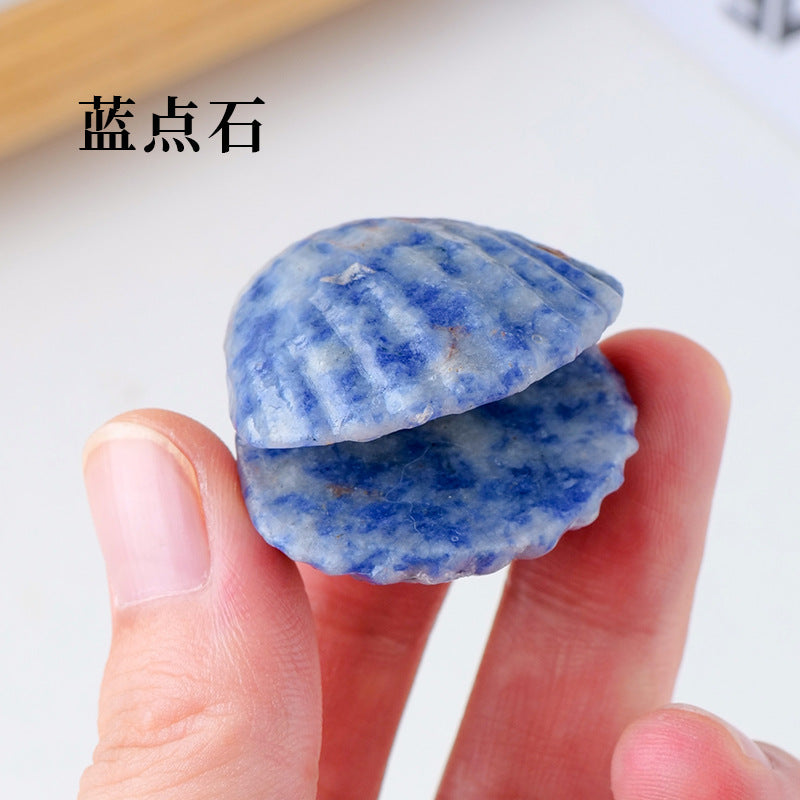 Seashell Crystal Random 1Set=8pcs,30-35mm