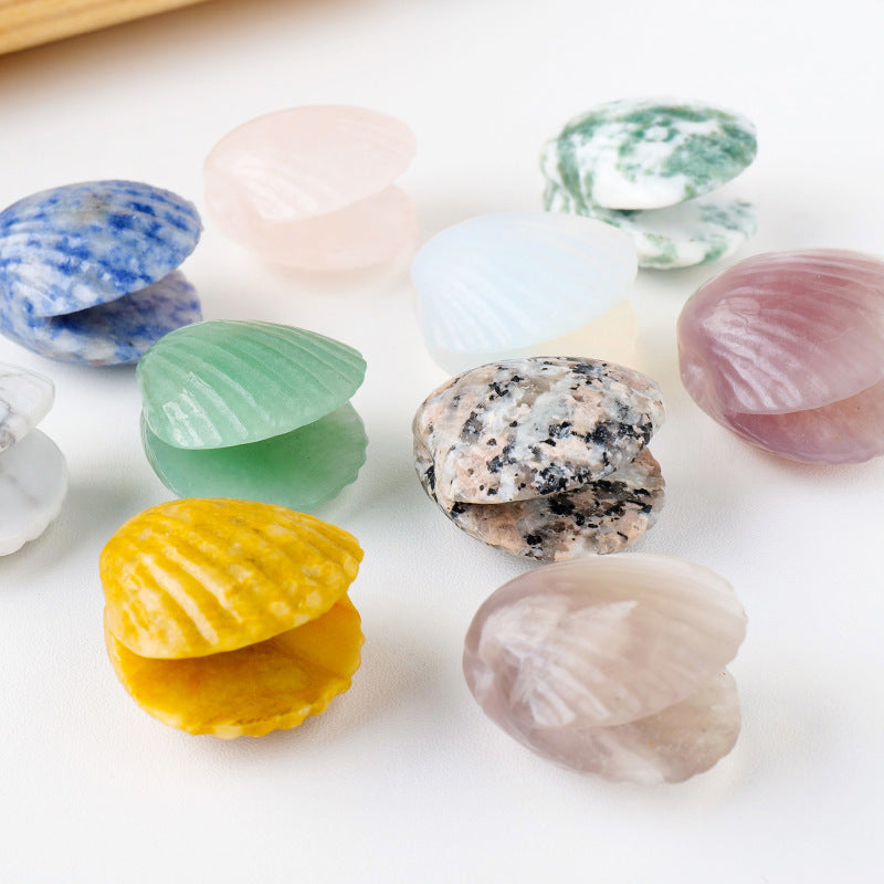 Seashell Crystal Random 1Set=8pcs,30-35mm