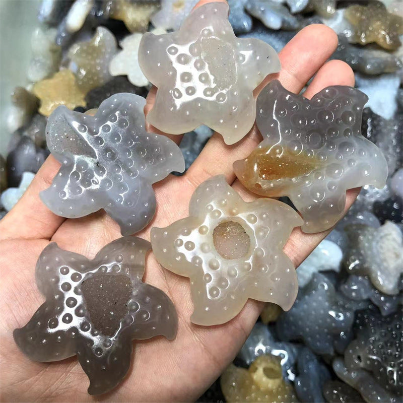 Agate Starfish Crystal carving Random 1set=3pcs,50-60mm