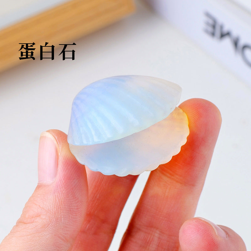 Seashell Crystal Random 1Set=8pcs,30-35mm