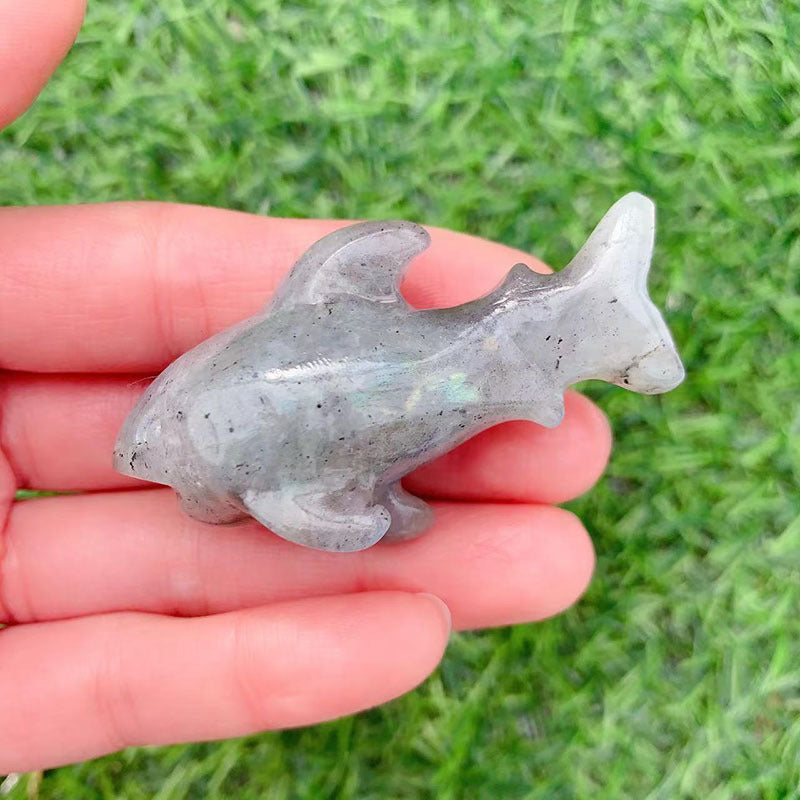 Natural shark crystal sets