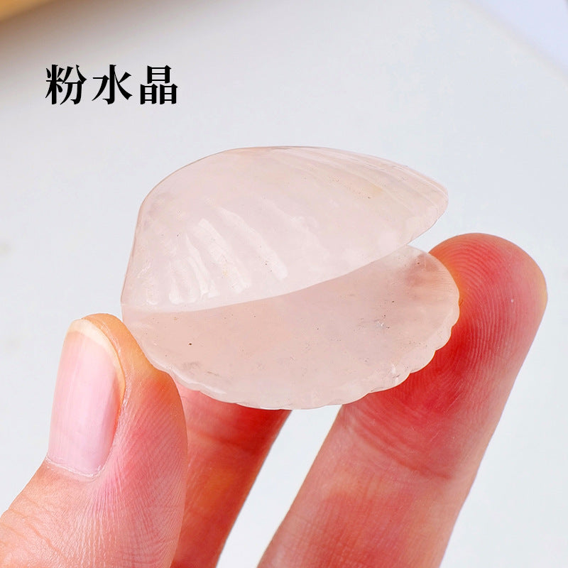 Seashell Crystal Random 1Set=8pcs,30-35mm