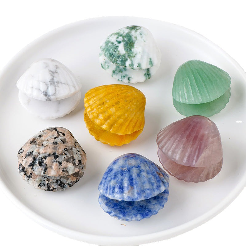 Seashell Crystal Random 1Set=8pcs,30-35mm