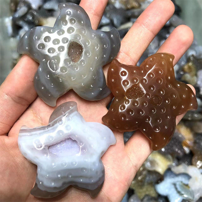 Agate Starfish Crystal carving Random 1set=3pcs,50-60mm