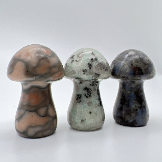 【USA ONLY】meowcrystal baby mushroom*3